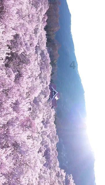 太空射击大战
